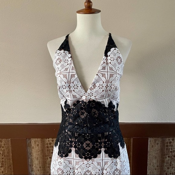NWT: Dress the Population White and Black Lace Dress - Picture 4 of 12